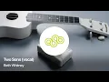 Beth Whitney - Two Sons (vocal) (Royalty Free Acoustic Music For Videos)
