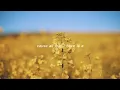 Gratitude (Brandon Lake) - Eleni Baker (Lyric Video)
