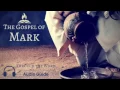Mark 6 Explained Guide by Through the Word