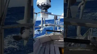 SoloSailing the Pacific