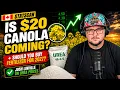 Is 20 Canola Coming Should You Buy Fertilizer for 2027 - What The Futures Episode 140