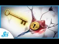 Download Lagu Remote Control Brain Receptors
