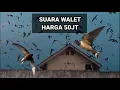 SUARA PANGGIL BURUNG WALET HARGA 50 JUTA (SP)