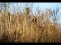 What to know about Iowa s new deer hunting zones