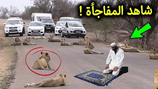 انظروا ماذا فعل هذا الرجل عندما هجم عليه 15 أسد وهو يصلي معجزة كبيرة جدا سبحان الله 