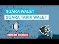 Download Lagu SUARA TARIK WALET - SUARA TARIK SENJA