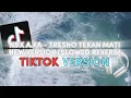 Download Lagu GEDENE CINTAKU LUAR BIASA | NDX A.K.A - TRESNO TEKAN MATI NEW VERSION (SLOWED REVERB) TIKTOK VERSION