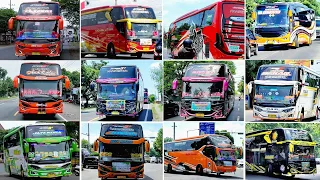 kumpulan telolet basuri v1 v2 v3 bus artis indonesia
