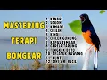 Download Lagu 🔴 2 JAM FULL ISIAN MEWAH‼️MASTERAN MURAI BATU DI SIANG HARI