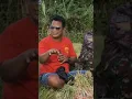 Download Lagu JURUS PAMUNGKAS BASMI ULAT GRAYAK