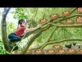 TIMELAPSE — Harvesting Many Wild Bantam Eggs in the Forest \u0026 Goes to Market Sell – Farm Life