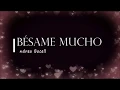 Lagu BESAME MUCHO BY ANDREA BOCELLI Spanish and English Lyrics