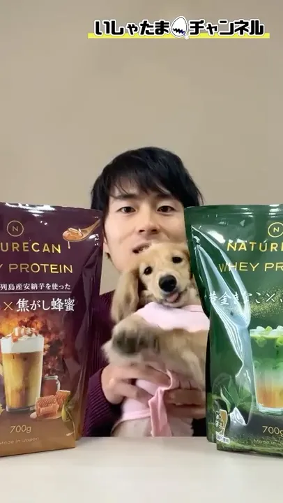【新キャラ🐶】秋の2大プロテイン新登場!!🍠🍵