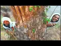 Koffi Olomide - Respect (Clip officiel)