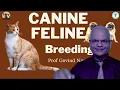 Canine and Feline Reproduction Essential Guide by GNP Sir