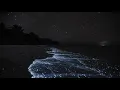 Download Lagu øneheart x reidenshi - Snowfall (3 Hours Loop) | Calm \u0026 Acceptance Music