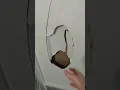 Download Lagu how to patch wall - drywall repair wall large hole patching process #shorts #drywall #patching