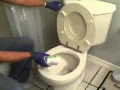 Foaming Root Killer - Tree Roots in Sewer Line