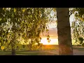 Download Lagu Совместный проект Игоря Туманина и Серёги Синелёва. Песня «Сон из детства».