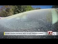 Allergy season continues in NC with yellow pollen