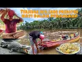 Download Lagu HAL YANG DI TAKUTKAN TERJADI||MATI NYA PREDATOR SUNGAI MASUK PERANGKAP 