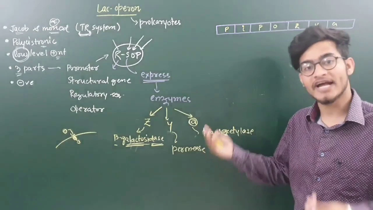 Best Video on Lac Operon System by Vipin Sharma