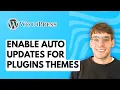 How to Enable Auto Updates for Plugins and Themes in WordPress 2026 Full Guide