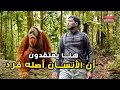 Download Lagu رحلة البحث عن انسان الغاب في أدغال اندونيسيا - ما لا تعرفه عن هذا المخلوق الغريب
