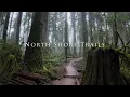 Meditative Rain Walk in a Lush North Vancouver Forest