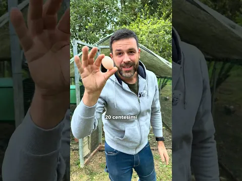 QUANTO ti COSTA davvero FARE un UOVO?