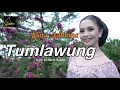 Download Lagu Rina Aditama - Tumlawung (Official Music Video)