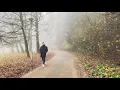 [4K] Creepy Walk in the Fog