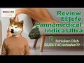 El Jefe Strain Review Abusive OG x Rare Darkness by Cannamedical