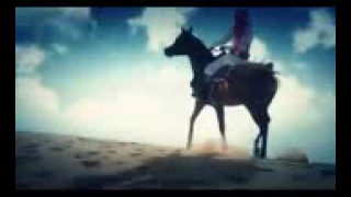 شيلة ماهو كل من يغيب ندوره وينه دندنها