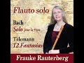 12 Fantasias for Flute, Fantasia No. 9 in E Major, TWV 40:10: II. Allegro