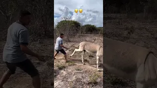 زلمة لمن دايخ هاد الصواب 