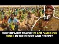 Download Lagu Why Ibrahim Traore plant 5 million vines in the desert and steppe?