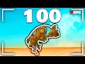 100 Days in Kenshi - 1 000 000 000 Skeleton TORSO FULL RUN