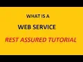 What is Web Services Web Services Beginner Tutorial Rest assured API testing tutorial