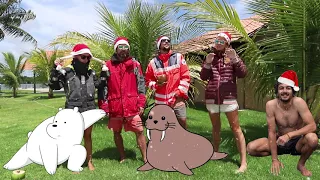 WE’VE GOT SOME EXCITING NEWS FOR 2018!! SAILING VESSEL DELOS