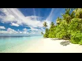 Download Lagu Island Reggae Music Upbeat Tropics - [Positive Vybes]