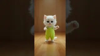 الزعل مش عشنا و الدلع ده لينا CEO Luxury Lady Cat ViralCat CatTok Boy روقان 