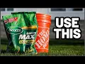 This Big Box fertilizer makes your lawn DARK green