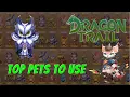 Dragon Trail - Top Pets for Every Type of Player