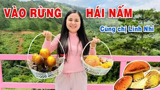 Vào Rừng Hái Nấm Cùng Gia Đình Linh Nhi