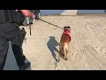 22News ridealong with Easthampton PD on the Connecticut River