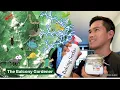 BAKING SODA Powerful ORGANIC Pesticide Mix