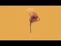 Avoure - Reflection