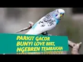 Download Lagu PARKIT GACOR FULL ISIAN tembakan kasar