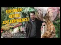 SERPENTARIUM Visiting a Belgian Reptile Zoo SO MANY REPTILES